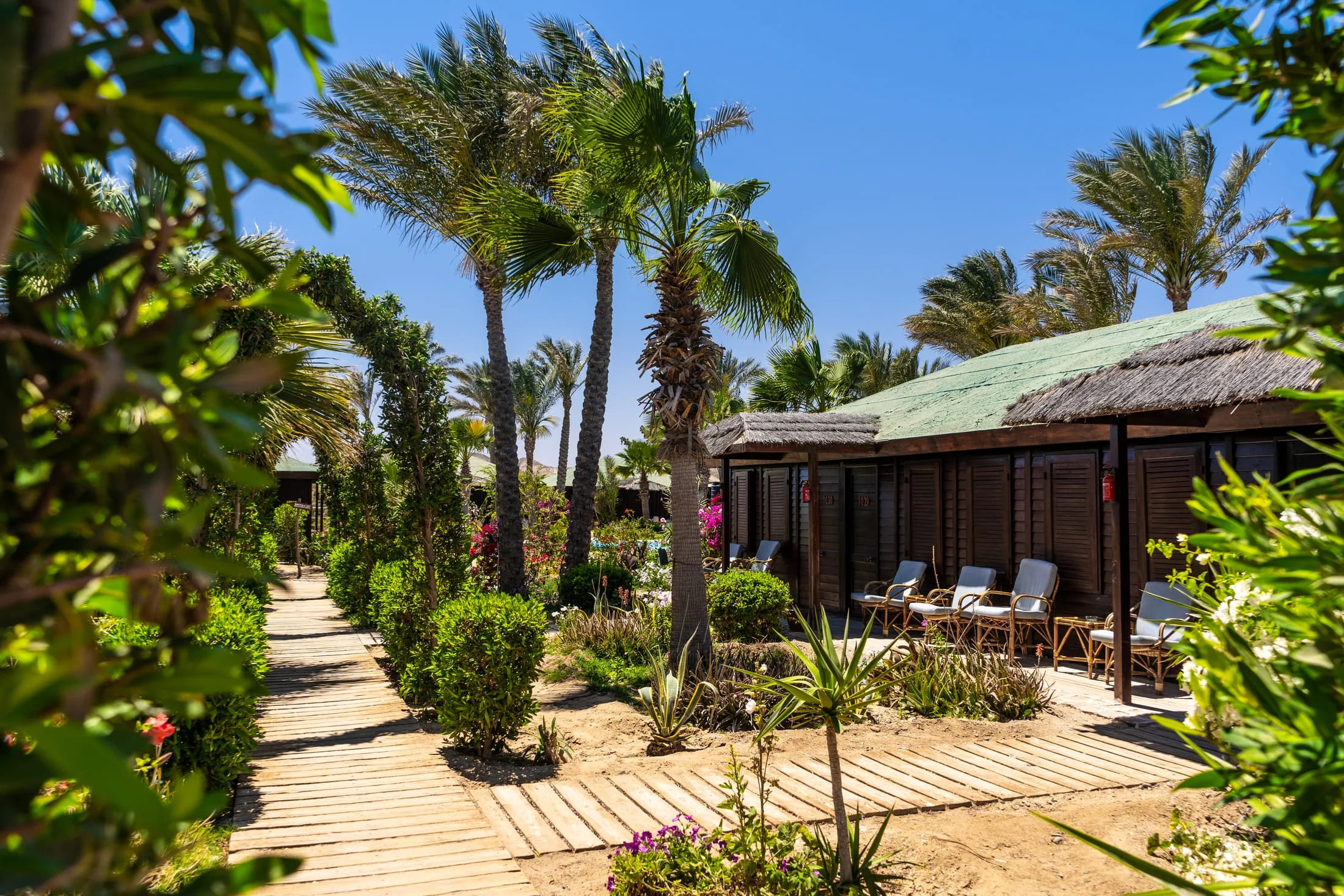 Abu Dabbab Diving Lodge